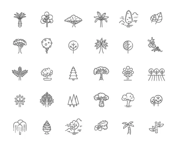 Conjunto de iconos de la línea vectorial en forma de árbol . — Archivo Imágenes Vectoriales