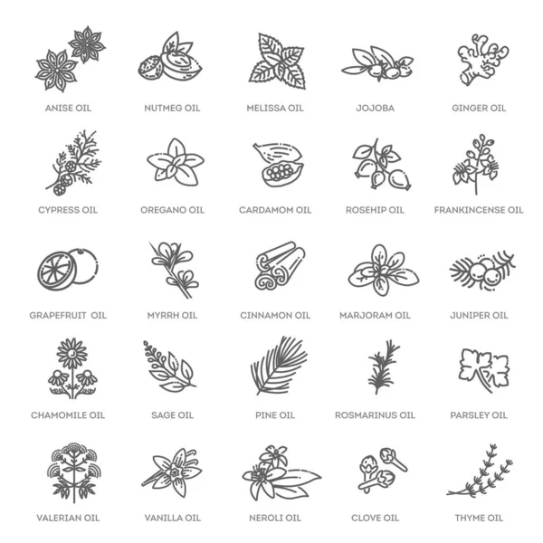 Vektor-Set aus natürlichen Zutaten und Ölen — Stockvektor
