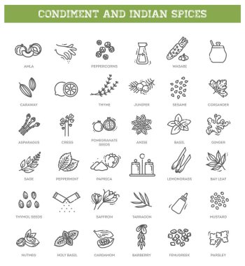 Thin line spices, condiments and herbs icons set clipart