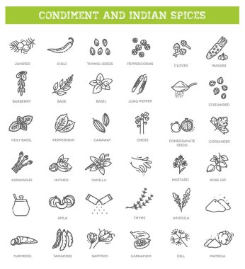 İnce baharatlar, baharatlar ve bitki ikonları.
