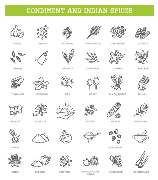 İnce baharatlar, baharatlar ve bitki ikonları.