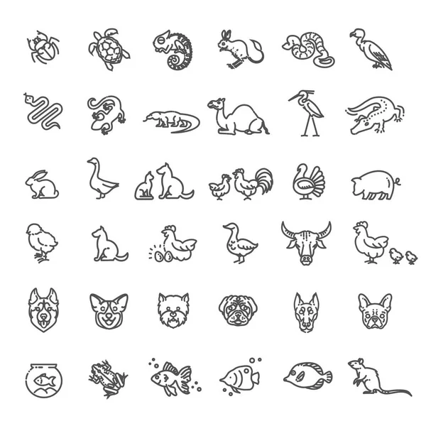 Iconos animales. vector esquema icono conjunto. Zoológico — Vector de stock