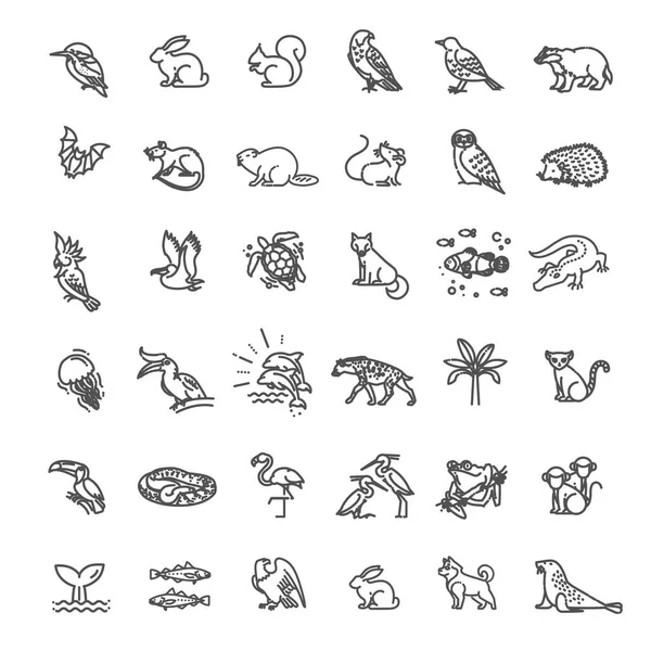 Iconos de animales. Conjunto de iconos de esquema vectorial. Zoo Línea animales conceptos, Conjunto de iconos — Vector de stock