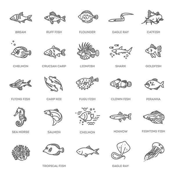 Conjunto de iconos de peces de contorno vectorial. Colección vectorial — Archivo Imágenes Vectoriales