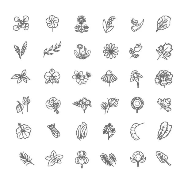 Набір значків квітів і трав у плоскому дизайні — стоковий вектор