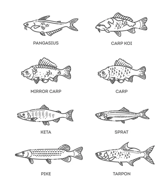 Conjunto de iconos de peces de contorno vectorial. Colección plana vectorial — Archivo Imágenes Vectoriales