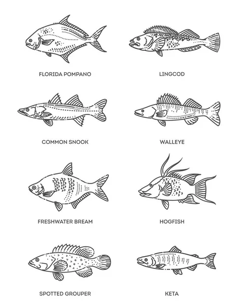 Conjunto de ícones de peixe de contorno vetorial. Coleção vetorial plana — Vetor de Stock