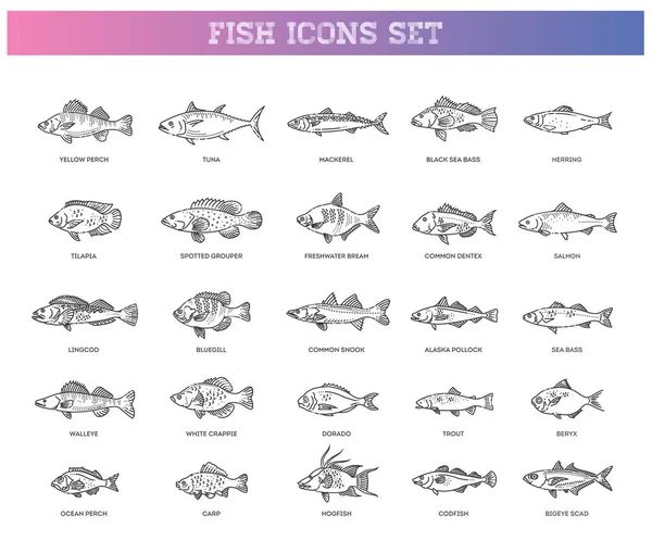 Ilustración Vectorial Diferentes Tipos Peces Colección Bocetos Pescado — Vector de stock