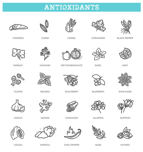 Antioxidant mat, örter och kryddor. hälsosam livsstil. — Stock vektor