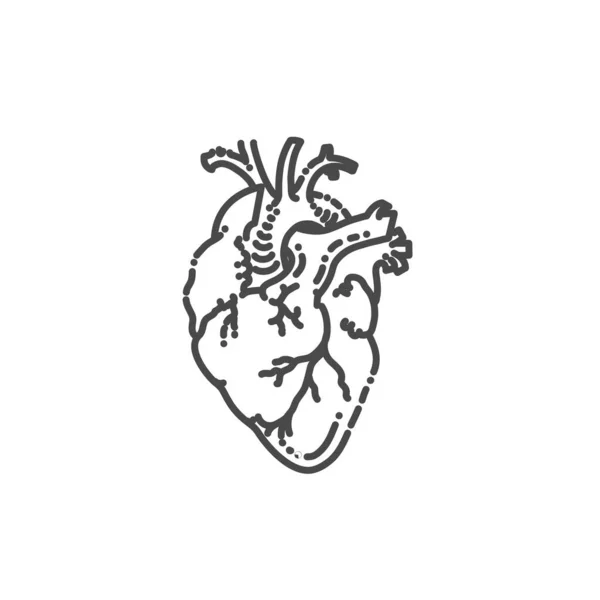 Disegno del cartone animato cuore umano. Organo muscolare nell'uomo — Vettoriale Stock
