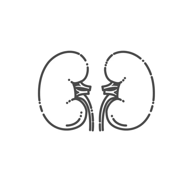 Système urinaire humain Reins. symbole vectoriel — Image vectorielle
