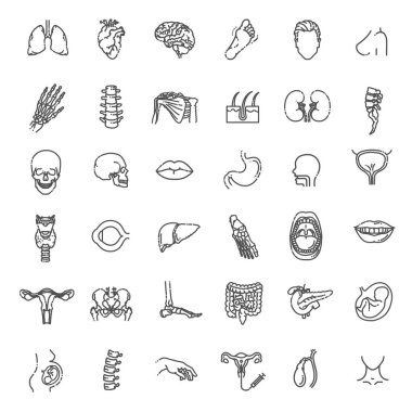 Düz dizayn tıp ve sağlıkta vektör çizgisi simgeleri, işaret ve sembolleri ayarlayın. İnsan iç organları