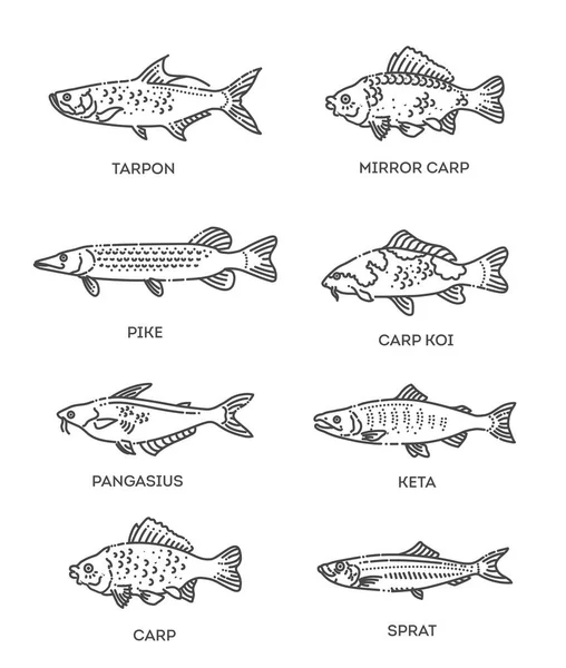 Conjunto de ícones de peixe de contorno vetorial. Coleção vetorial plana — Vetor de Stock
