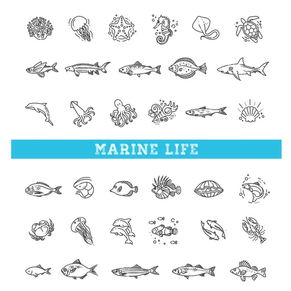 Icono de vida marina. Iconos del esquema vectorial — Vector de stock
