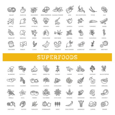 Vektör organik süper yiyecekler. Antioksidan yiyecekler
