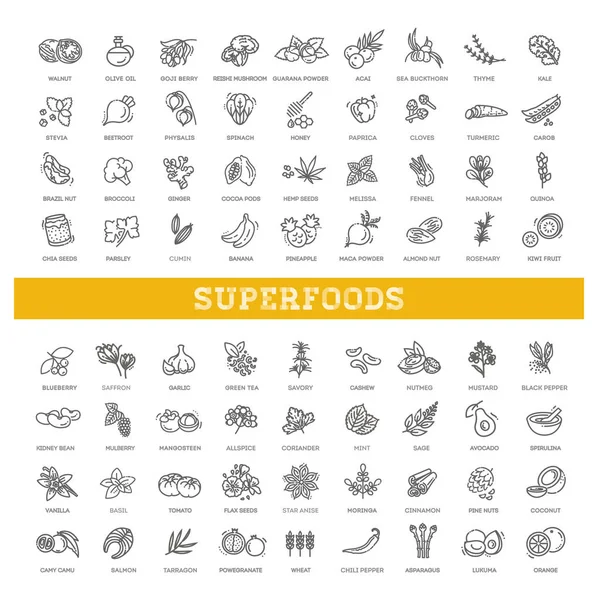 Vector Superalimentos orgánicos. Alimentos antioxidantes — Archivo Imágenes Vectoriales