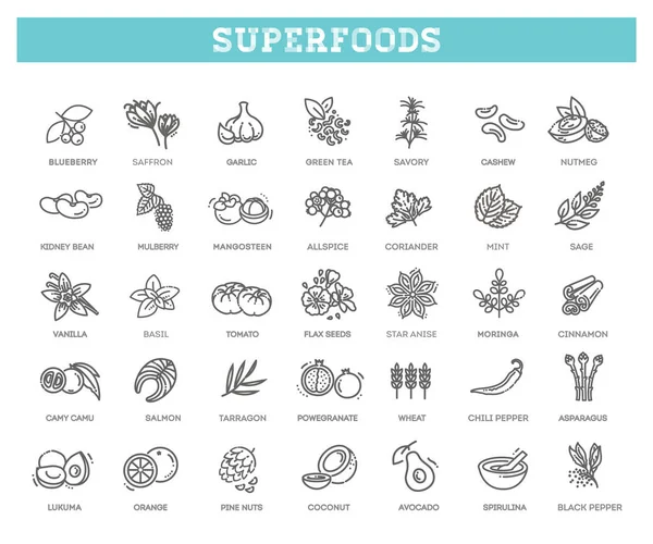 Superfood 'un vektör simgeleri. Vektör Organik Yemekler