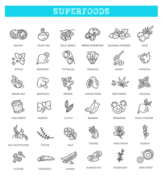 Vector Organic superfoods. Antioxidant food — стоковый вектор