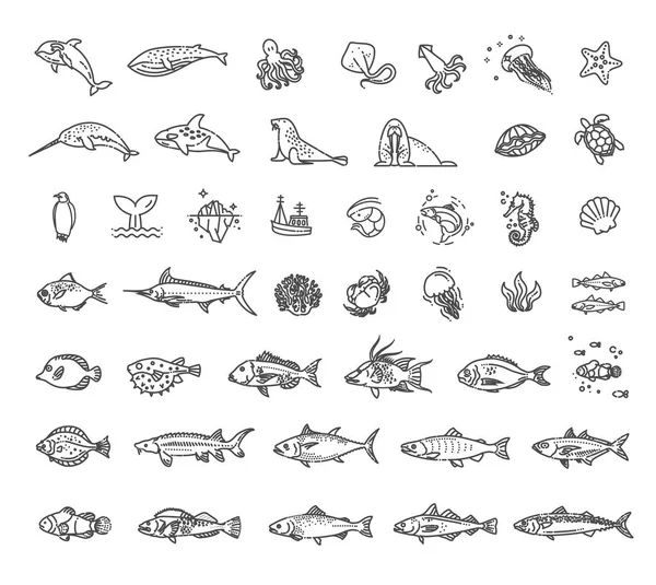 Underwater Fauna Outline Collection Vector Set — Vetor de Stock