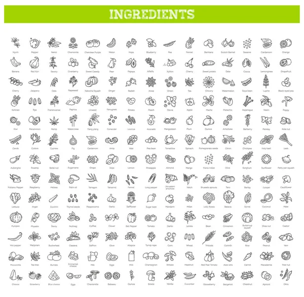 Yiyecek, sebze, meyve, böğürtlen, fasulye, organik diyet, aşçılık çizgisi simgeleri, tabelgeler