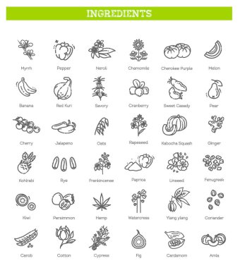 Yiyecek, sebze, meyve, böğürtlen, fasulye, organik diyet, aşçılık çizgisi simgeleri, tabelgeler