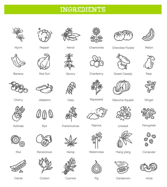 Yiyecek, sebze, meyve, böğürtlen, fasulye, organik diyet, aşçılık çizgisi simgeleri, tabelgeler