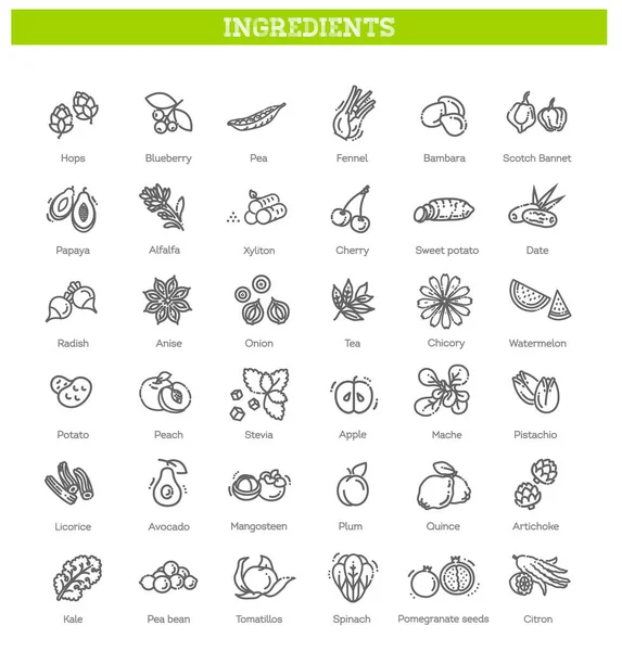 Yiyecek, sebze, meyve, böğürtlen, fasulye, organik diyet, aşçılık çizgisi simgeleri, tabelgeler