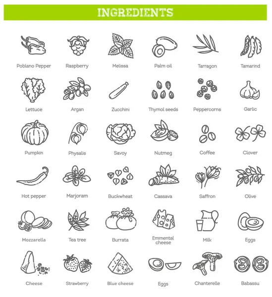 Yiyecek, sebze, meyve, böğürtlen, fasulye, organik diyet, aşçılık çizgisi simgeleri, tabelgeler