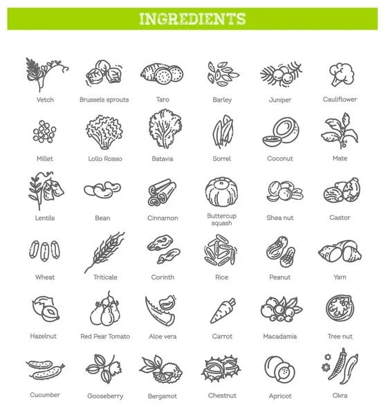 Yiyecek, sebze, meyve, böğürtlen, fasulye, organik diyet, aşçılık çizgisi simgeleri, tabelgeler