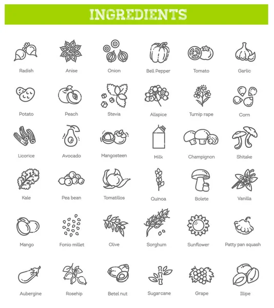 Yiyecek, sebze, meyve, böğürtlen, fasulye, organik diyet, aşçılık çizgisi simgeleri, tabelgeler