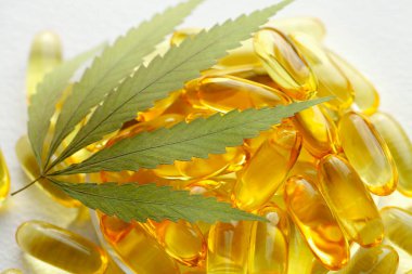 CBD yağ hapları. Beyaz zemin üzerinde şeffaf CBD Cannabidiol kapsülü ve kenevir yaprakları grubu. Organik beslenme takviyeleri kavramı