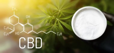 Ağrı için CBD Kenevir Kremleri. Kenevirden cilt bakımı için kozmetik kremi. CBD Kimya Formülü. Cannabidiol moleküler yapısal kimyasal formül. Doğal Kozmetik