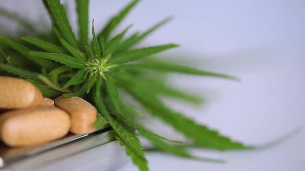 Cannabis Cbd Und Thc Pillen Produkte Medizin Kapseln Gesundes Ernährungskonzept — Stockvideo