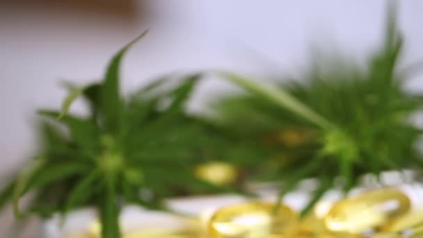 Olio Cannabis Cbd Capsule Olio Essenziale Primo Piano Capsule Olio — Video Stock