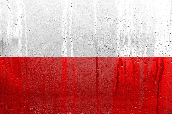 Polens Flagga Officiella Färger Och Proportioner Korrekt Polens Nationella Flagga — Stockfoto