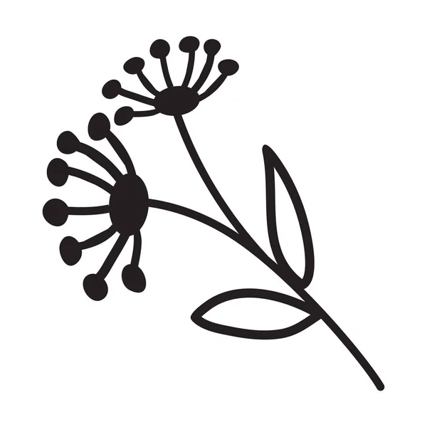 Doodle Dill Illustration Der Natur Pflanzenelemente Blüte Zum Ausmalen — Stockvektor