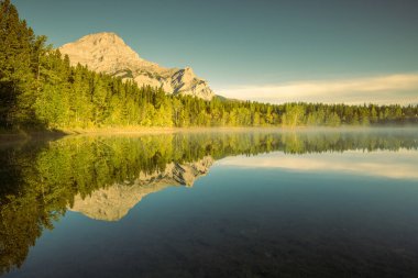 Altın saatte Wedge Pond 'da Yansıyan Ağaçlar, Kanada Kayalıkları, Alberta, Kanada