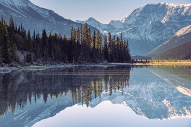 Jasper Ulusal Parkı 'ndaki göle yansıyan karlı dağlar Kanada' daki Kanada Rocky Dağları