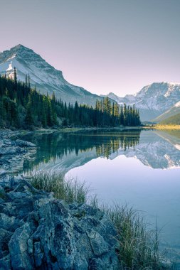 Jasper Ulusal Parkı 'ndaki göle yansıyan karlı dağlar Kanada' daki Kanada Rocky Dağları