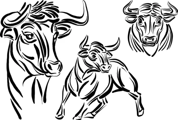 Bull Brush Stroke Line Art Vector Illustration Set — Stock Vector