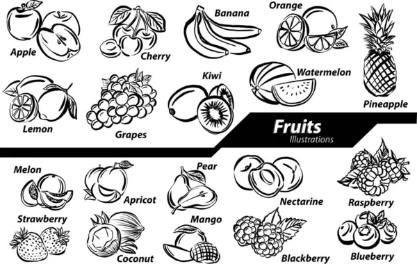 Noir Blanc Fruits Illustrations Doodle Set Collection Dessin Libre Style — Image vectorielle