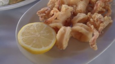 Yunan tavernası meze başlangıç yemeği yakın plan. Taze patates kızartmalı yemekler, beyaz tzatziki soslu kabak, ahtapot ve beyaz masa örtüsü olan bir restoran masasında çıtır kalamar deniz ürünleri..