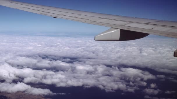 旅行のふわふわの雲の上を飛んで フレームの左側を探しています 青い水平線の上にブランド化されていない翼の旅客機の窓からの眺め高高度で巡航する飛行機に乗って — ストック動画