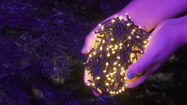 Tenendo Luci Fata Illuminato Chiuso Prima Albero Natale Artificiale Una — Video Stock