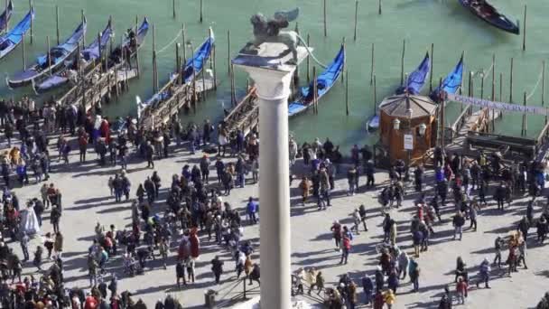 Velence Olaszország Emelkedett Nappali Kilátás Oroszlán Szobor Oszlop San Marco — Stock videók