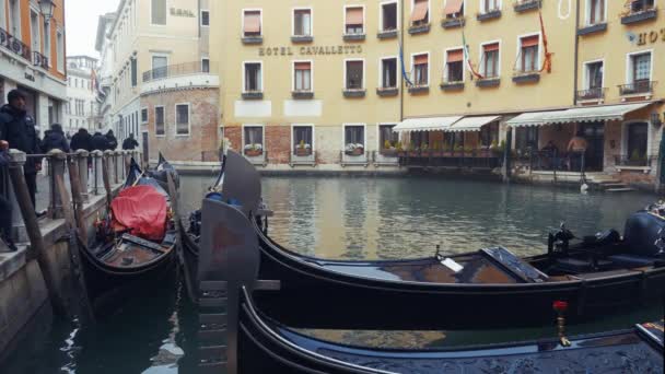 Venecia Italia Vista Día Góndolas Sin Pasajeros Amarradas Canal Largo — Vídeo de stock