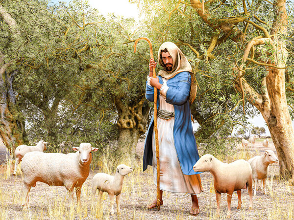 Bible shepherd and his flock of sheep in an Olive Grove, 3d render