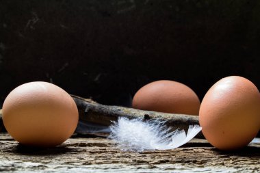 Yumuşak ve narin tüyleri olan taze, pişmemiş tavuk yumurtaları, eski, harap meşe tahtaların üzerine serilmiş..