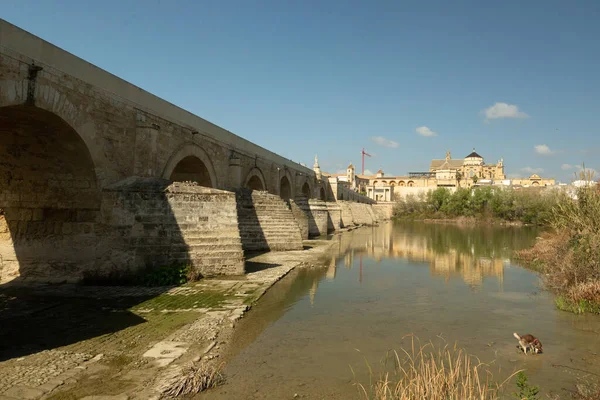 Córdoba, Espanha - 28 de fevereiro de 2022: ponte romana em Córdoba com a atual seca de água. — Fotografia de Stock