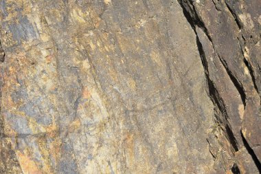 Montuain 'in çeşitli tonlarında doğal kayrak dokusu.